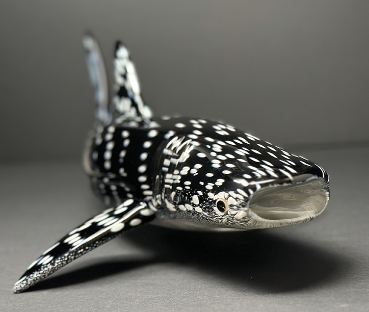 Hand blown glass whale shark sculpture by Michael Hopko